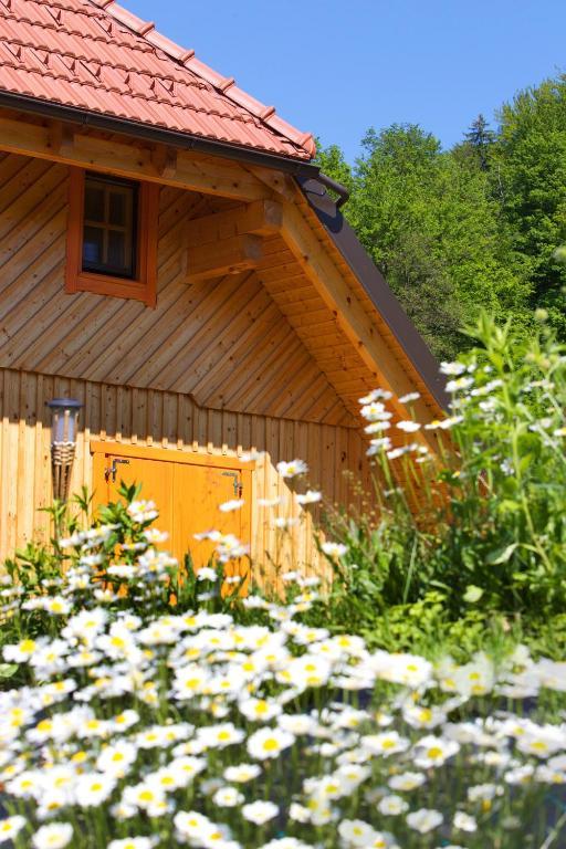 Farm Stay Pirc Laško Exterior foto